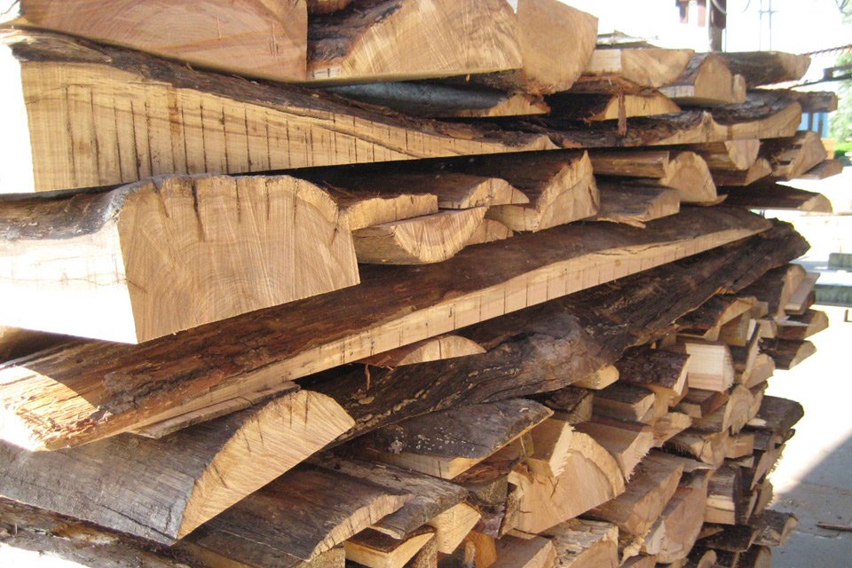 Scorzoni legno da ardere